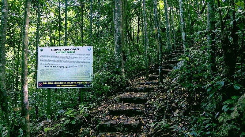 Trek Cat Ba National Park 2 Day Package